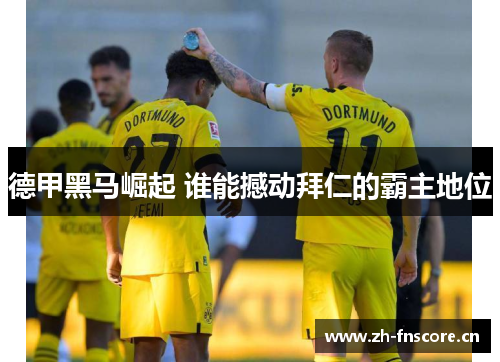 德甲黑马崛起 谁能撼动拜仁的霸主地位 德甲黑马崛起 谁能撼动拜仁的霸主地位